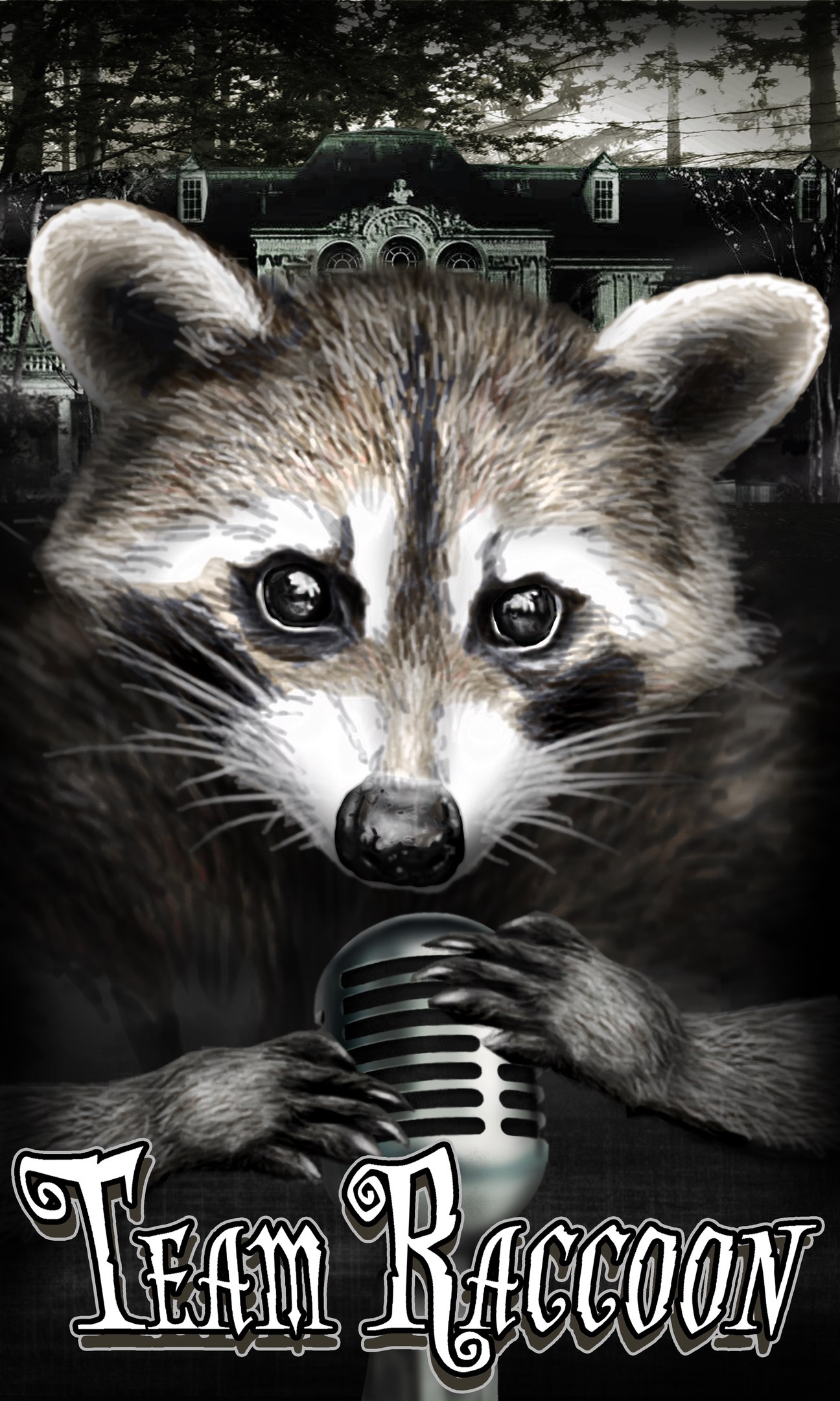 Team Raccoon